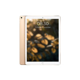 Refurbished Apple iPad Pro 1st Gen 12.9in Wi-Fi