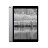 Refurbished Apple iPad Pro 1st Gen 10.5in Wi-Fi
