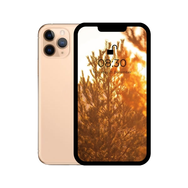 iPhone 11 pro max gold