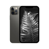 iPhone 12 pro grey