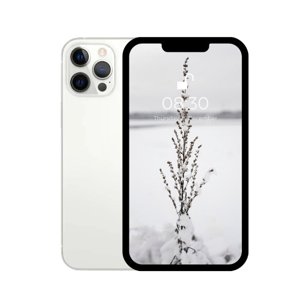 iPhone 12 pro max white