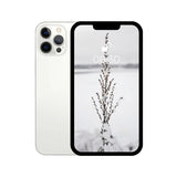 iPhone 12 pro max white