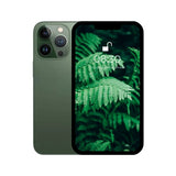 iPhone 13 pro green