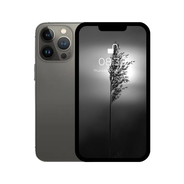 iPhone 13 pro max graphite