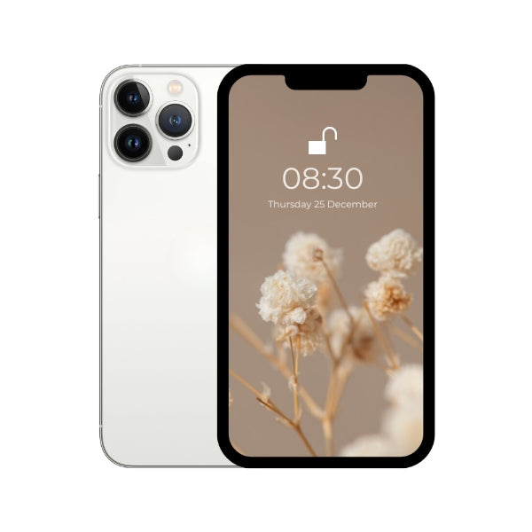 iPhone 13 pro max white