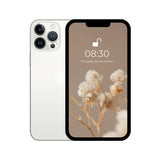 iPhone 13 pro max white