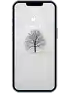 Refurbished iPhone X