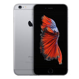 Buy Online Refurbished iPhone 6